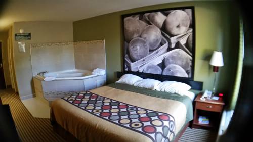 Imagen de la habitación del Hotel Namaste Inn and Suites Dawsonville. Foto 8