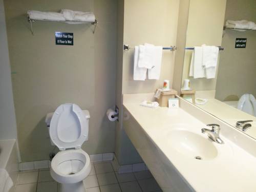 Imagen de la habitación del Hotel Namaste Inn and Suites Dawsonville. Foto 9
