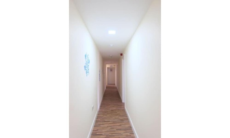 Imagen de los interiores del Hotel Namaste Palace. Foto 20