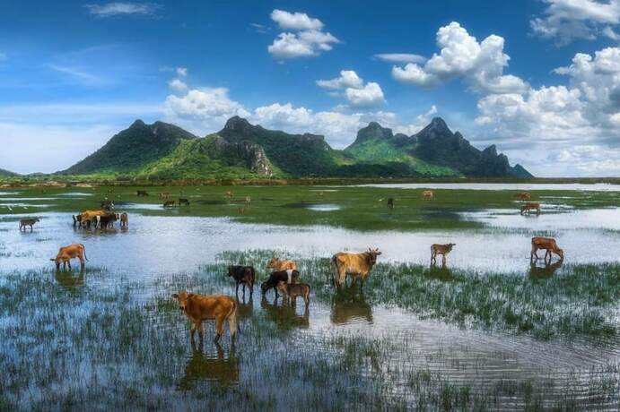 Imagen general del Hotel Namaste Resort. Foto 4