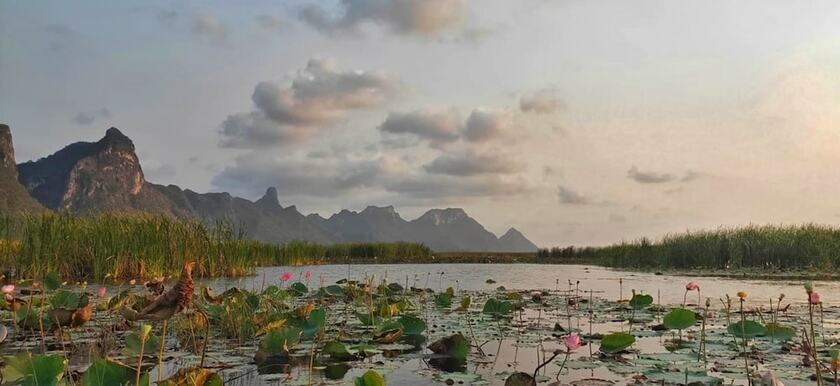 Imagen general del Hotel Namaste Resort. Foto 5