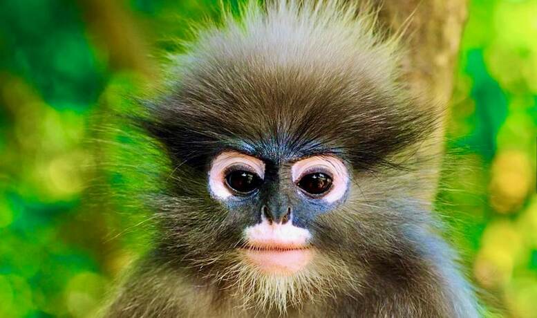 Imagen general del Hotel Namaste Resort. Foto 14