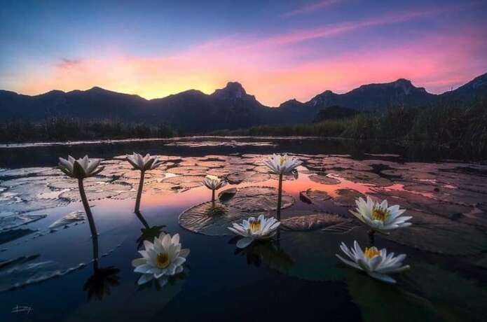 Imagen general del Hotel Namaste Resort. Foto 15