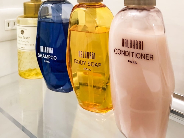 Imagen de la habitación del Hotel Namba Minami Crystal Hotel. Foto 16