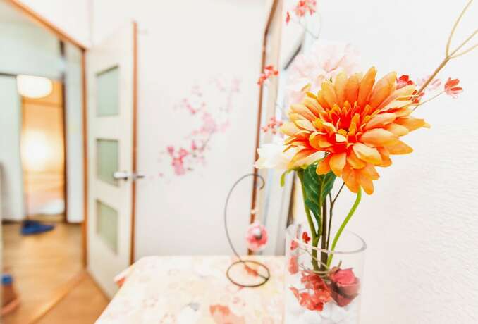 Imagen general del Hotel Namba Sunshine Apartment. Foto 10