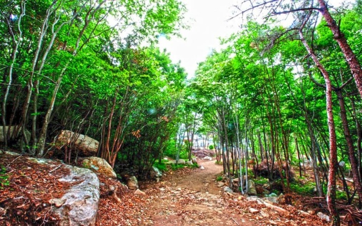 Imagen general del Hotel Namhae France Resort. Foto 14