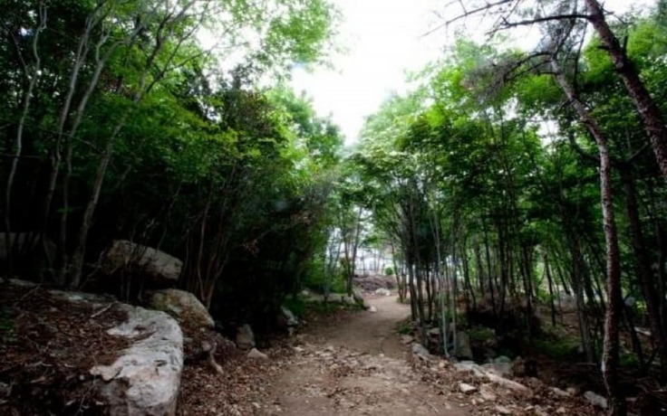 Imagen general del Hotel Namhae France Resort. Foto 19