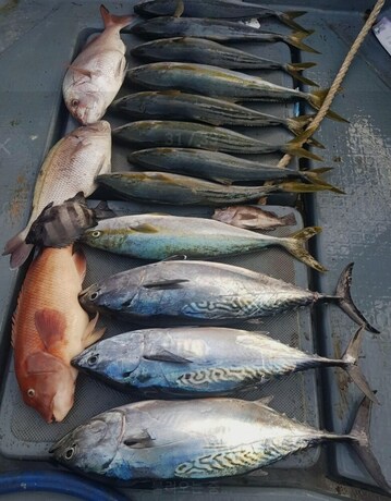 Imagen general del Hotel Namhae German Village Johannes. Foto 2