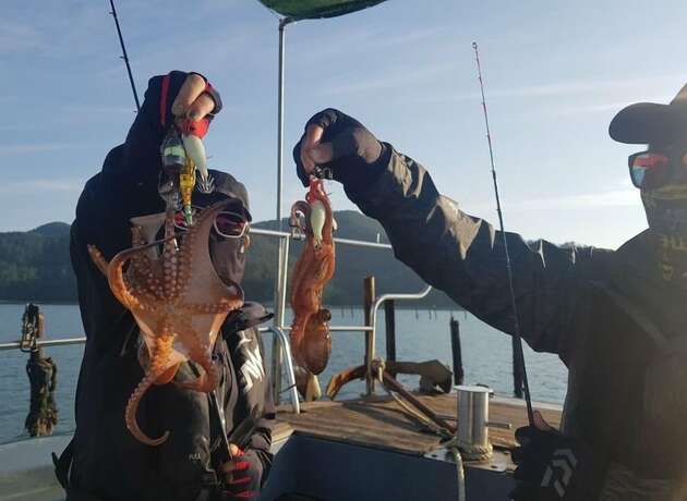 Imagen general del Hotel Namhae German Village Johannes. Foto 4