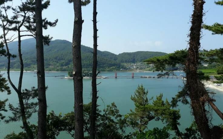 Imagen general del Hotel Namhae Healing Island Glamping. Foto 6