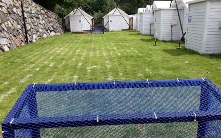 Imagen general del Hotel Namhae Healing Island Glamping. Foto 9