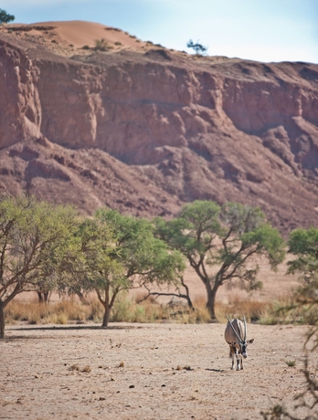 Imagen de la habitación del Hotel Namib Desert Lodge. Foto 10
