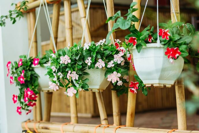 Imagen general del Hotel Nan House. Foto 5