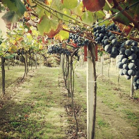 Imagen de los interiores del Hotel Nande. Foto 19