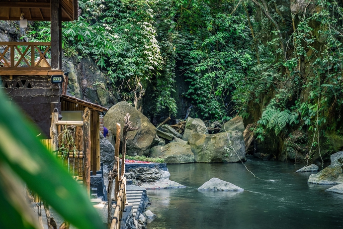 Imagen de los interiores del Hotel Nandini Jungle By Hanging Gardens. Foto 11