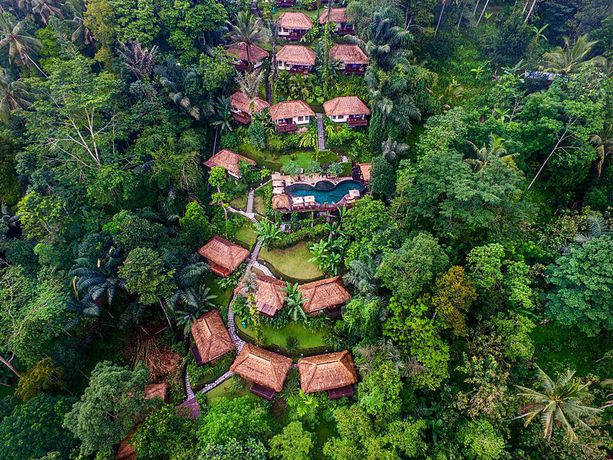 Imagen de los exteriores del Hotel Nandini Jungle By Hanging Gardens. Foto 9