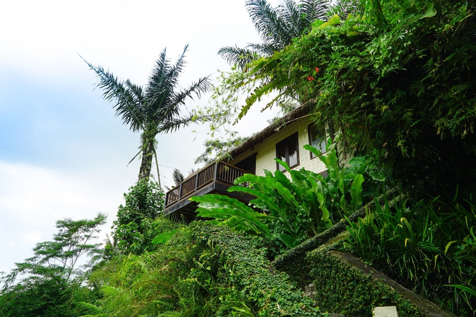 Imagen general del Hotel Nandini Jungle By Hanging Gardens. Foto 2