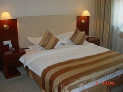 Imagen de la habitación del Hotel Nanjing Great. Foto 3