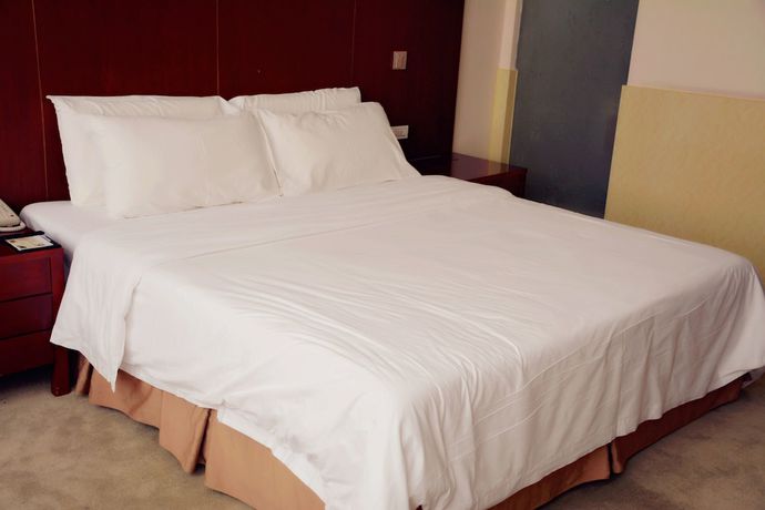 Imagen de los interiores del Hotel Nanjing Panda Jinling. Foto 19