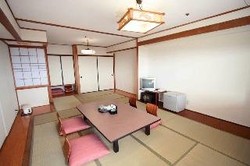 Imagen de la habitación del Hotel Nankaiso. Foto 8