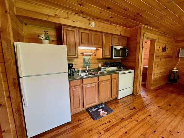 Imagen de la habitación del Hotel Nantahala Village. Foto 18