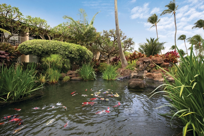 Imagen de la piscina del Hotel Napili Shores Maui By Outrigger. Foto 7