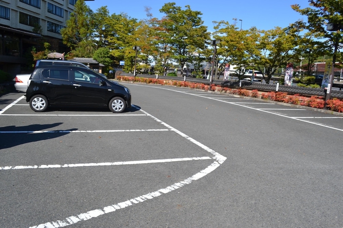 Imagen general del Hotel Nara Park. Foto 4