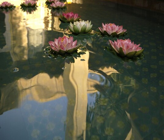 Imagen de la piscina del Hotel Narayan Niwas Palace. Foto 28