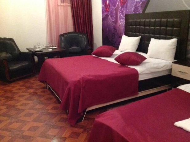Imagen de la habitación del Hotel Narek Plus. Foto 11