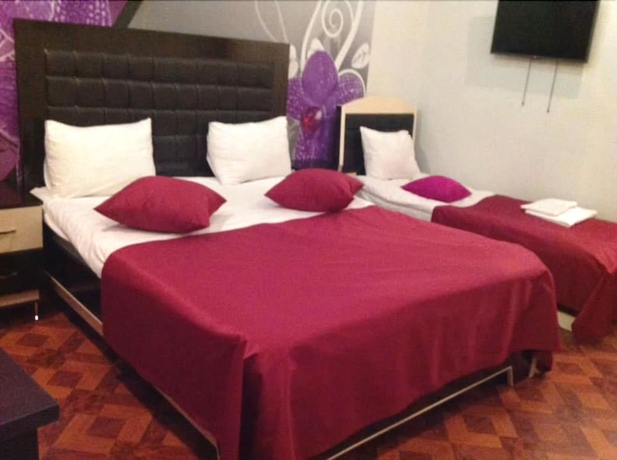 Imagen de la habitación del Hotel Narek Plus. Foto 12