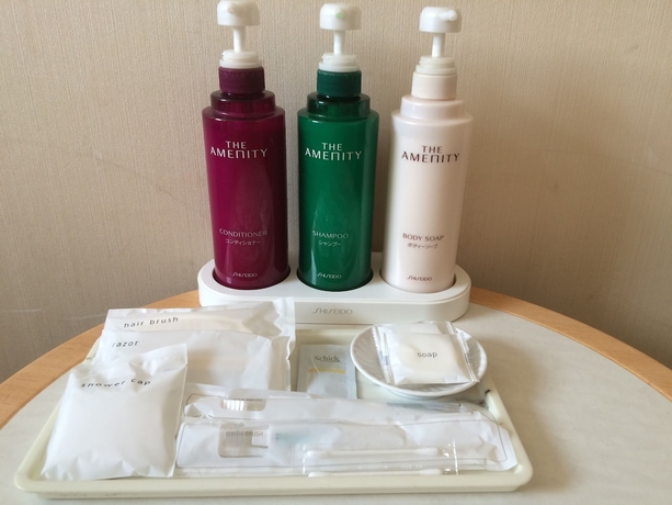 Imagen de la habitación del Hotel Narita U-city. Foto 11