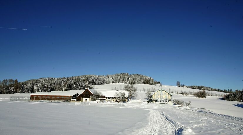 Imagen general del Hotel Narnhoferwirt. Foto 15