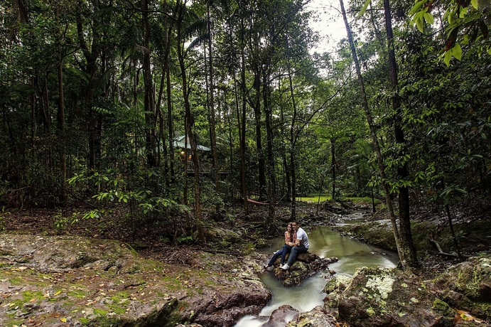 Imagen de los exteriores del Hotel Narrows Escape Rainforest Retreat. Foto 9