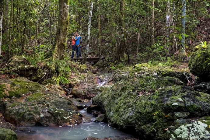 Imagen de los exteriores del Hotel Narrows Escape Rainforest Retreat. Foto 10