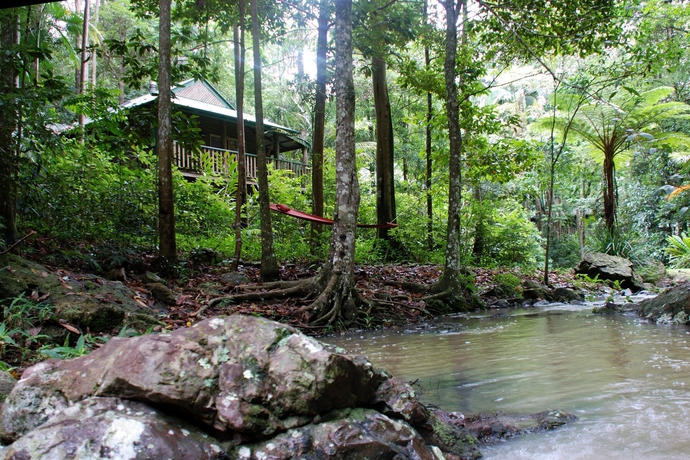 Imagen de los exteriores del Hotel Narrows Escape Rainforest Retreat. Foto 11