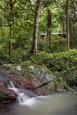 Imagen de los exteriores del Hotel Narrows Escape Rainforest Retreat. Foto 13