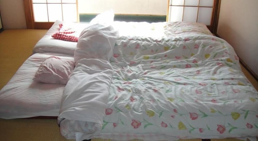 Imagen de la habitación del Hotel Narusawa Lodge. Foto 2