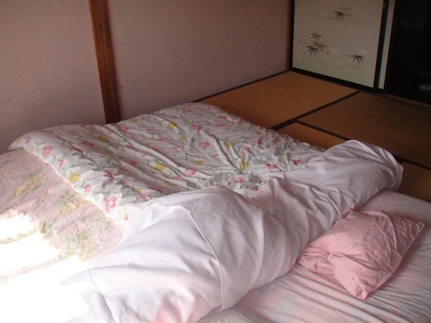 Imagen de la habitación del Hotel Narusawa Lodge. Foto 10