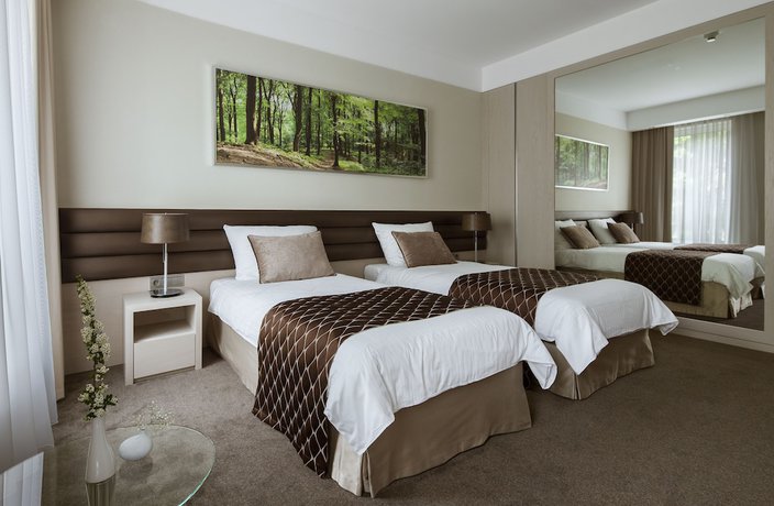 Imagen de la habitación del Hotel Narvil Conference And Spa. Foto 4