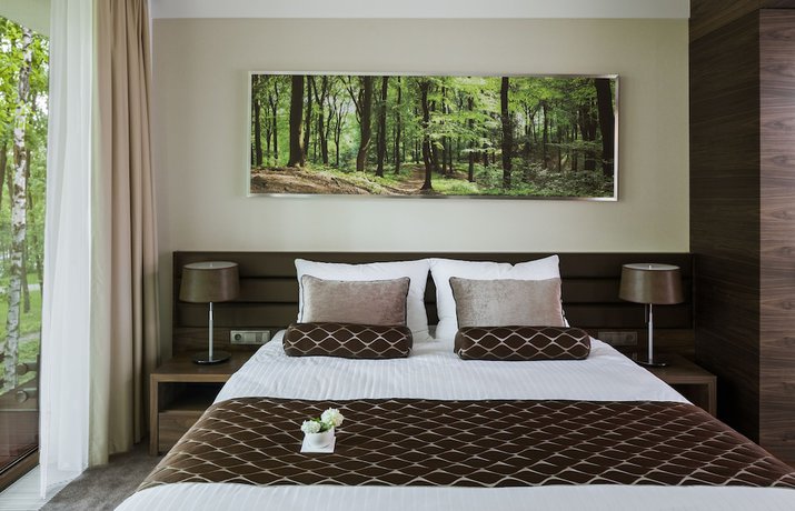 Imagen de la habitación del Hotel Narvil Conference And Spa. Foto 6