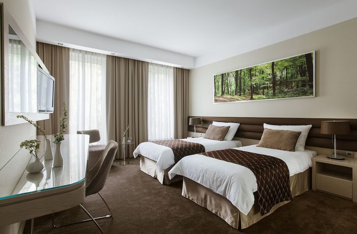 Imagen de la habitación del Hotel Narvil Conference And Spa. Foto 7