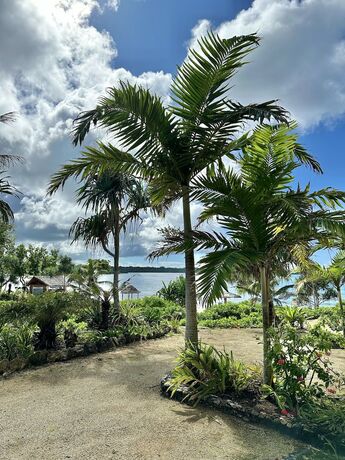 Imagen de la habitación del Hotel Nasama Resort. Foto 20