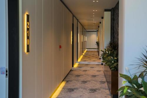 Imagen general del Hotel Nassau. Foto 6