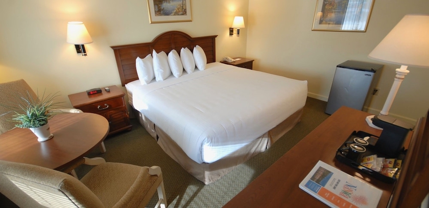 Imagen de la habitación del Hotel Naswa Resort. Foto 2