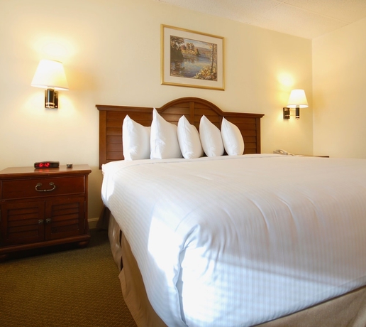 Imagen de la habitación del Hotel Naswa Resort. Foto 3