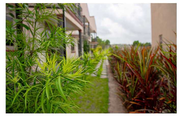 Imagen de los exteriores del Hotel Nataahas. Foto 19