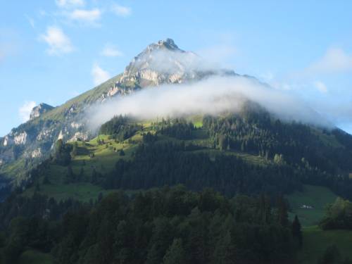 Imagen de la habitación del Hotel National, FRUTIGEN. Foto 15