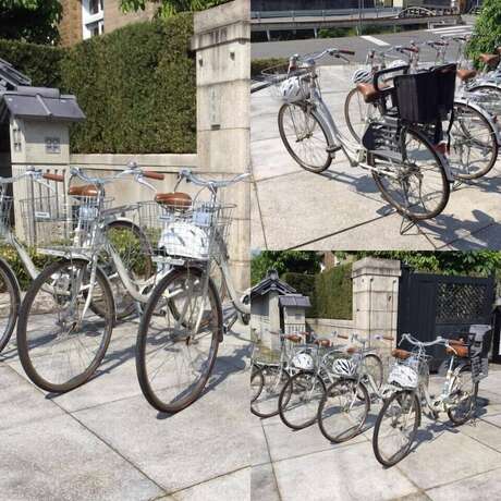 Imagen general del Hotel National Historic Landmark Shunyoso. Foto 5