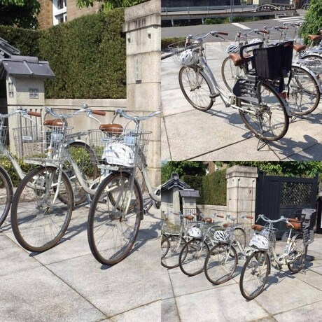 Imagen general del Hotel National Historic Landmark Shunyoso. Foto 1