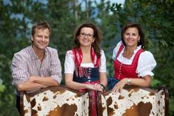 Imagen general del Hotel Nationalpark Lodge Grossglockner. Foto 8